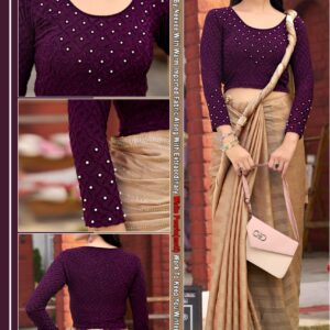 Stylish Pari Full Sleeve Pearl Work Designer Blouse